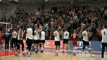 usavolleyball thank you clapping hype fans GIF