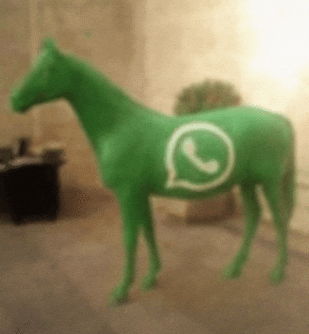 Horse GIF