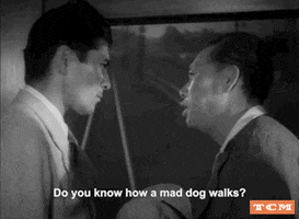 Akira Kurosawa Tokyo GIF by Turner Classic Movies