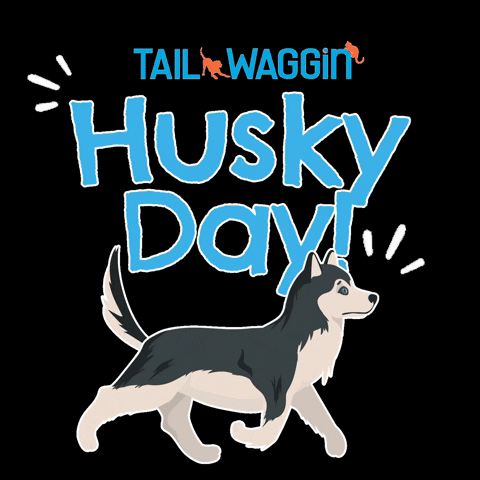 Husky GIF by Tail Waggin'
