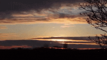 Coffee GIF