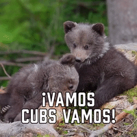 ¡Vamos Cubs Vamos!