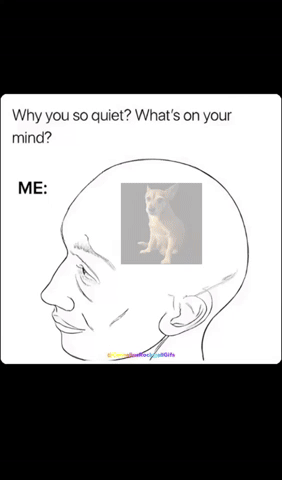 Corneliusrockwellgifs GIF