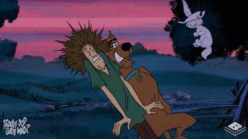 Shocked Scooby Doo GIF by Boomerang Official