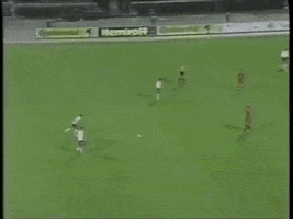 Rashadsadygov GIF