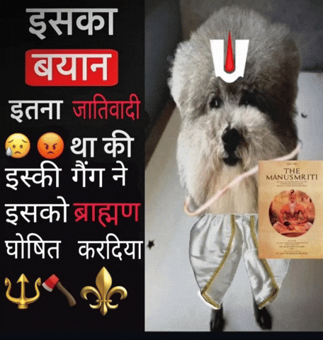 He Made A Statement GIF