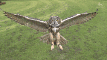 200.gif