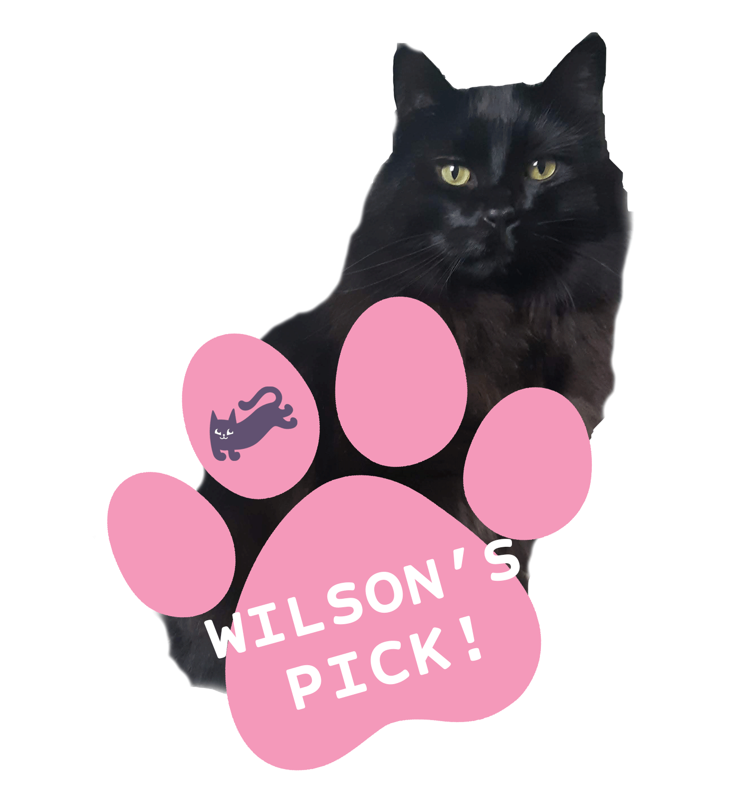 Cat Wilson Sticker by happycat for iOS & Android GIPHY