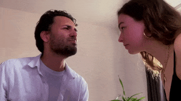 Stop What GIF by The official GIPHY Page for Davis Schulz