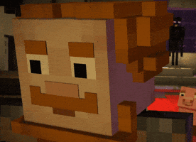 Minecraft Story Mode What GIF