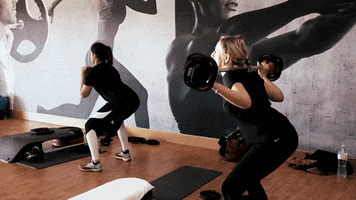 Zino Beuckeleers GIF