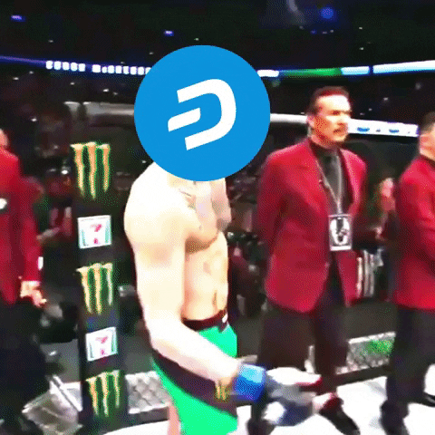 Fight Meme GIF by Dash Digital Cash