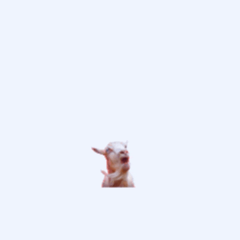 Geek GIF