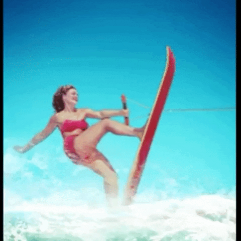 vintage surf GIF by The Videobook
