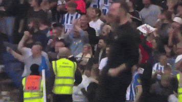 De Zerbi GIF
