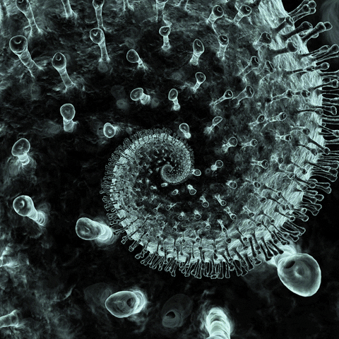Sick Virus GIF by Feliks Tomasz Konczakowski