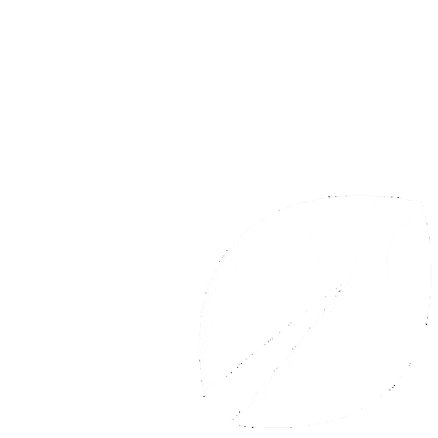 White Leaves Sticker by Thrive Church
