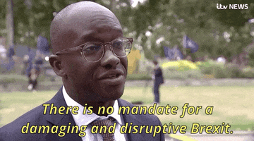 news brexit sam gyimah there is no mandate for a damaging and disruptive brexit GIF