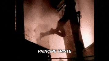 pussy  GIF