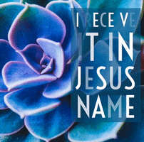 Receive Ireceive Jesus Name GIF