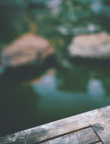 Cà Phê Nguyên Chất Hà Nội GIF