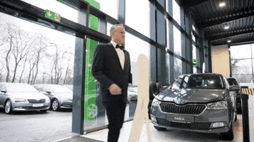 Autowelt Bolz GIF