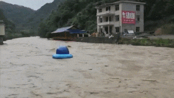 flood GIF