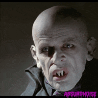 nosferatu the vampyre horror GIF by absurdnoise