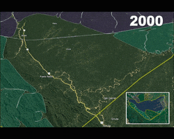 Deforestacion GIF