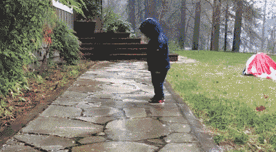 leave earthquake GIF