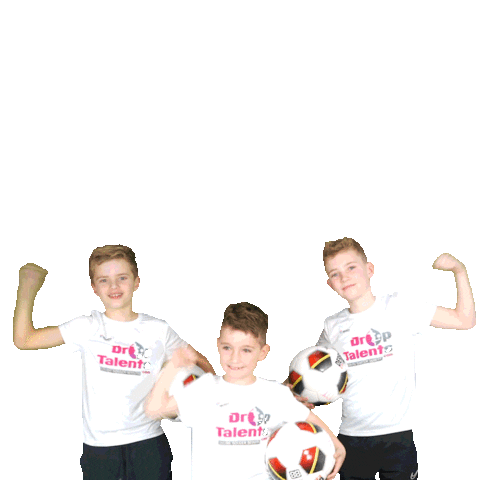 DropTalents Sticker