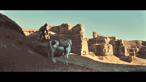 Game Of Thrones Horse GIF by 4AD