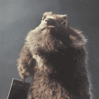 https://media3.giphy.com/media/WxJea79lT6gE6aNYpC/200w.gif?cid=82a1493b0a3zlb44w36l1odm7ca5q7a9mz015iusbcrhic5g&rid=200w.gif&ct=g