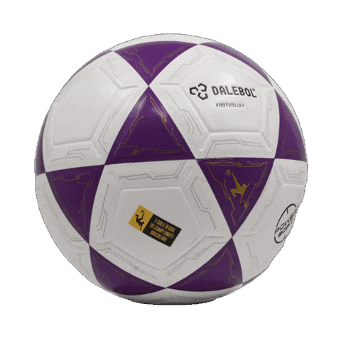 Bola Futevolei Sticker by Dalebol
