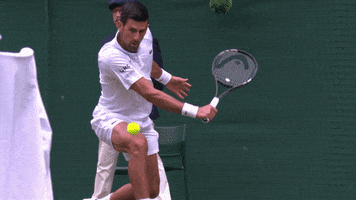 Sport Tennis GIF by Wimbledon