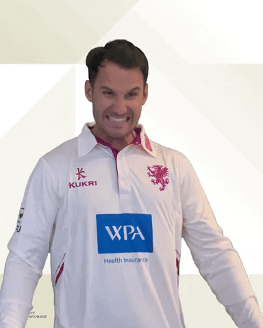 Fist Pump Celebrate GIF by Somerset County Cricket Club