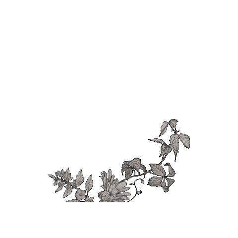 Dam Sticker by weingutdam