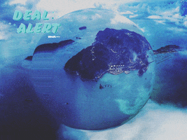 200.gif?cid=fc005b088dc347736c49516131c3b5927afaf7e75e135ec5&rid=200.gif&ct=g