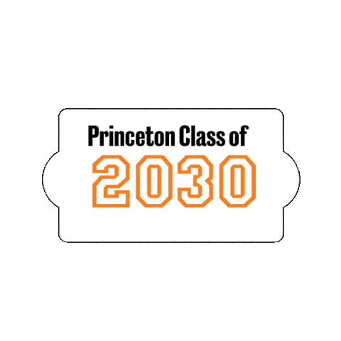 Princeton 2030 Sticker by Princeton University
