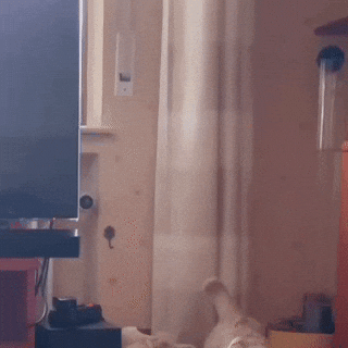 Handspiel GIF