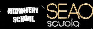 Seao Scuola GIF