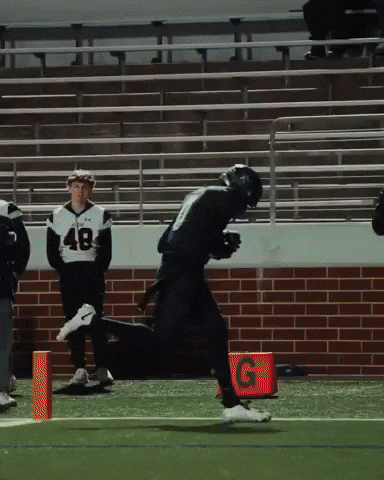 Fight On Lone Star GIF