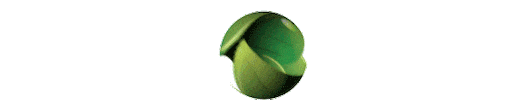 Çiğdem Akman Sticker