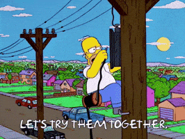 GIF by katiehoweyphoto