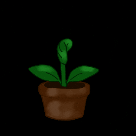 New Year Plant GIF