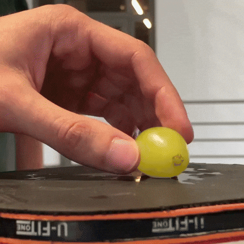 Snack Tafeltennis GIF by Perspectief