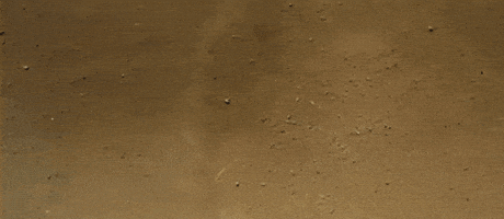 art landing GIF by G1ft3d