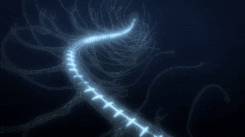 Aot GIF