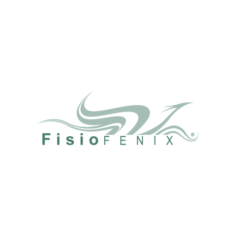 Fisiofenix Sticker