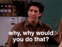 Why Would You Do That Ross Geller GIF - Find & Share on GIPHY